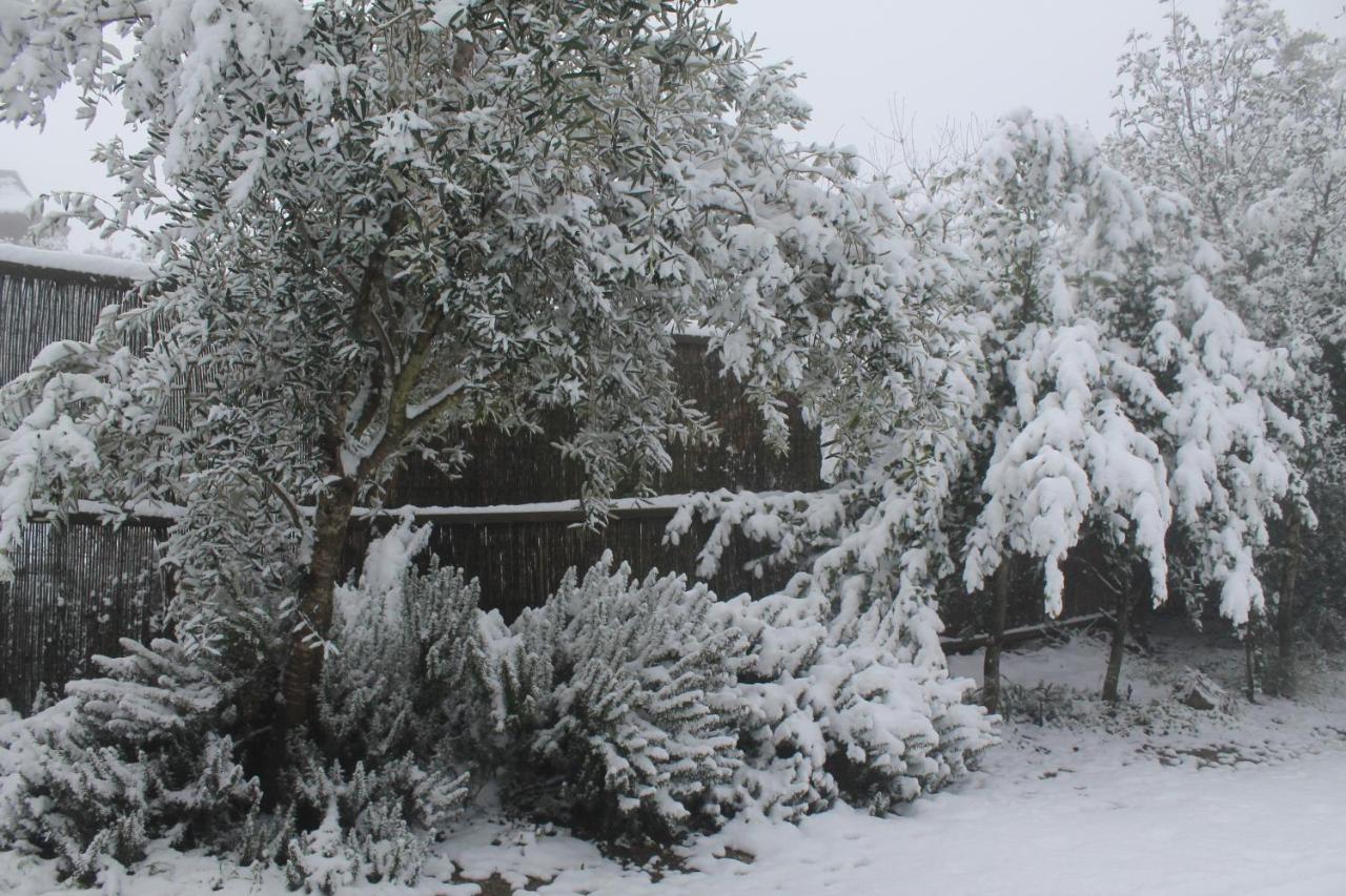פסגת מתת Pisgat Mattat Exterior foto
