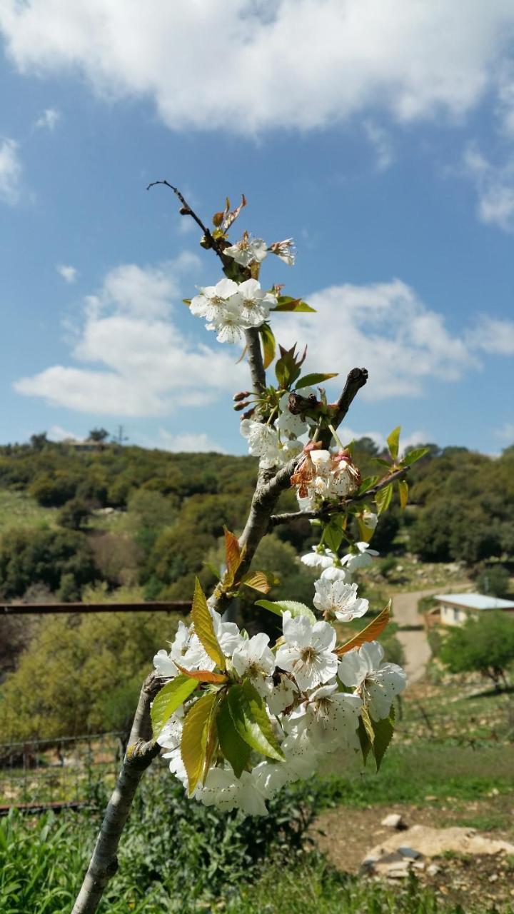 פסגת מתת Pisgat Mattat Exterior foto